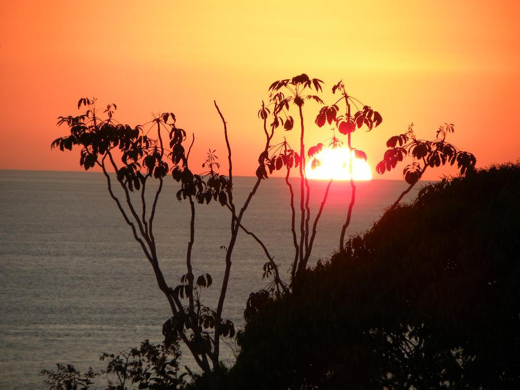Hotel Lookout Playa Tortuga Ojochal Εξωτερικό φωτογραφία